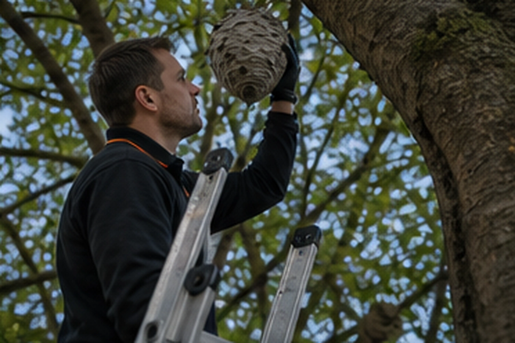 Pest Control Stratford hero image showing a local London property visit